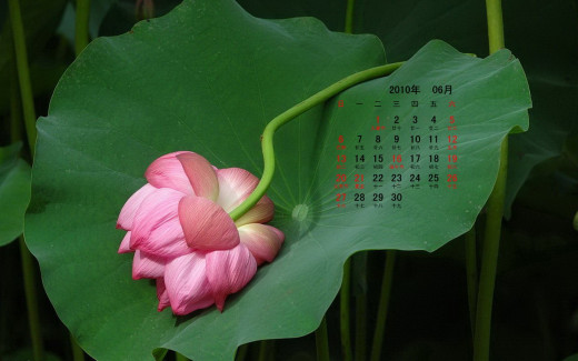 491881 (a): :1680x1050